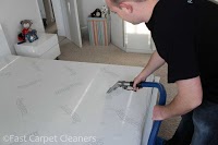 Fast Carpet Cleaners 349404 Image 5